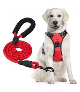 PoyPet Dog Harness and Leash Combo, Escape Proof No Pull Vest Harness(Red)