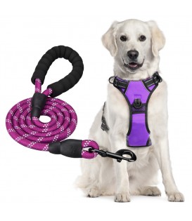 PoyPet Dog Harness and Leash Combo, Escape Proof No Pull Vest Harness(Purle)