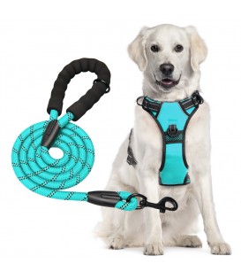 PoyPet Dog Harness and Leash Combo, Escape Proof No Pull Vest Harness(Mint Blue)