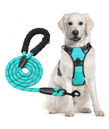 PoyPet Dog Harness and Leash Combo, Escape Proof No Pull Vest Harness(Mint Blue)