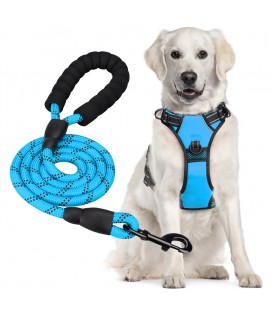 PoyPet Dog Harness and Leash Combo, Escape Proof No Pull Vest Harness(Blue)