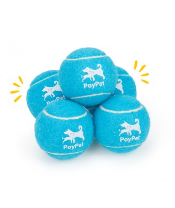 PoyPet Squeaky Tennis Balls for Dogs - 2.5" Interactive Doggy Toys,Blue