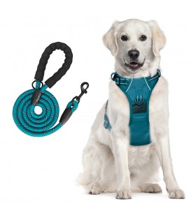 PoyPet Dog Harness and Leash Combo, Escape Proof No Pull Vest Harness(Tumalo Teal)