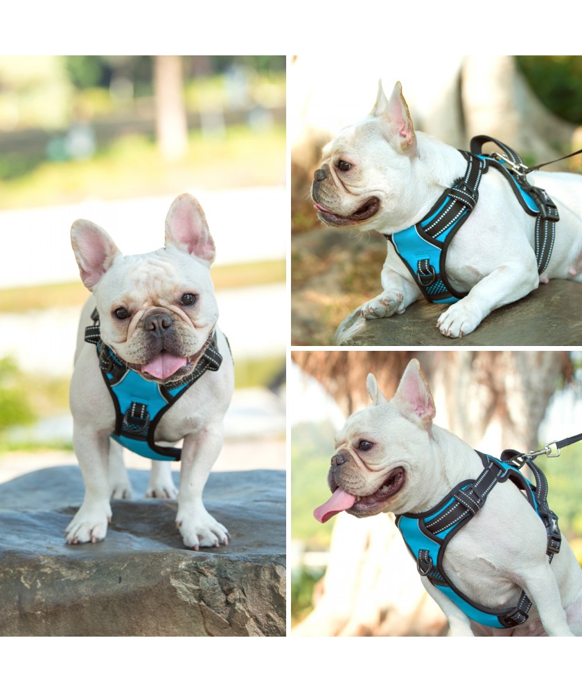 PoyPet 2019 Upgraded No Pull Dog Harness with 4 Snap Buckles Reflective with Front & Back 2 Leash Hooks and an Easy Control Handle NO Need Go Over Dog’s Head 
