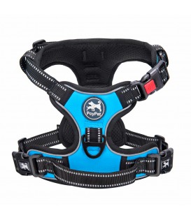 PoyPet No Pull Dog Harness Lockable- 3M Reflective - 2 Metal Front & Back Leash Hooks   ( Blue )