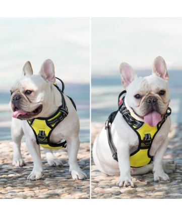 PoyPet No Pull Dog Harness Lockable - 3M Reflective - 2 Metal Front & Back Leash Hooks ( Green )