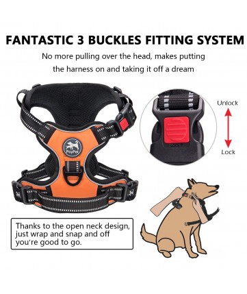 PoyPet  No Pull Dog Harness Lockable - 3M Reflective - 2 Metal Front & Back Leash Hooks ( Orange )