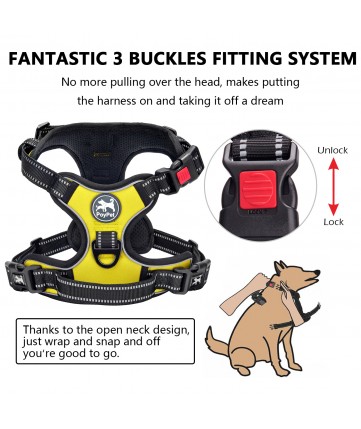 PoyPet No Pull Dog Harness Lockable - 3M Reflective - 2 Metal Front & Back Leash Hooks ( Green )