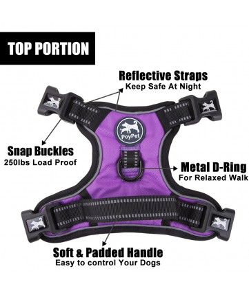 PoyPet 2019 No Pull Dog Harness - 3M Reflective - 2 Metal Hooks - 4 Snap Buckles( Purple )