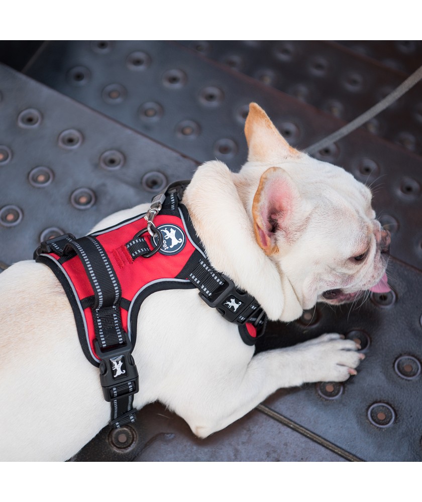 Reflective with Front & Back 2 Leash Hooks and an Easy Control Handle NO Need Go Over Dog’s Head PoyPet 2019 Upgraded No Pull Dog Harness with 4 Snap Buckles 