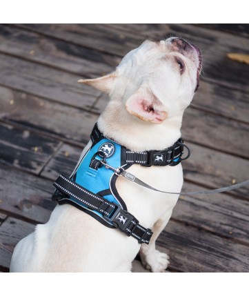 PoyPet 2019 No Pull Dog Harness - 3M Reflective - 2 Metal Hooks - 4 Snap Buckles( Blue )