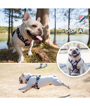 PoyPet  [Upgrated] No Pull Dog Harness  - 3M Reflective - 3 Snap Buckles (USA Flag)