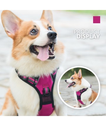PoyPet [Upgrated] No Pull Dog Harness - 3M Reflective - [Release at Neck]  ( Fushsia )
