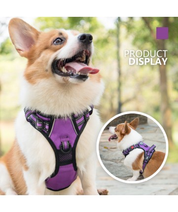 PoyPet [Upgrated] No Pull Dog Harness - 3M Reflective - [Release at Neck] ( Purple )