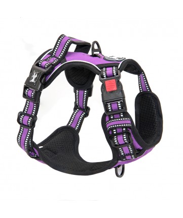 PoyPet [Upgrated] No Pull Dog Harness - 3M Reflective - [Release at Neck] ( Purple )