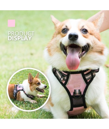 PoyPet [Upgrated] No Pull Dog Harness - 3M Reflective - [Release at Neck]  (Light  Pink )