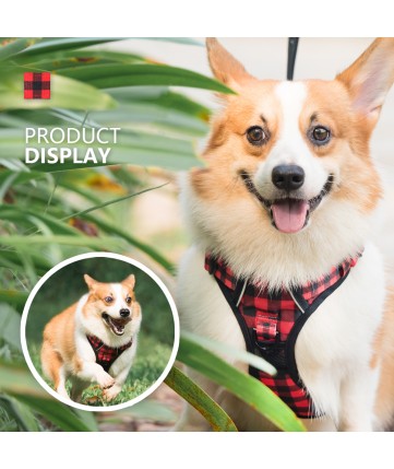 PoyPet  [Upgrated] No Pull Dog Harness  - 3M Reflective - 3 Snap Buckles (Checkered Red )