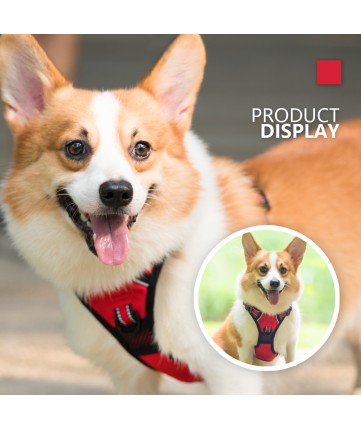 PoyPet [Upgrated] No Pull Dog Harness - 3M Reflective - [Release at Neck] (Red )