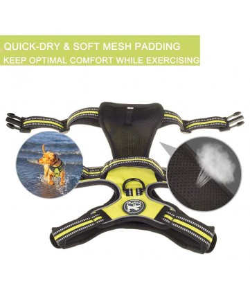PoyPet 3M Reflective -Easy Control- No Pull Dog Harness ( Green)