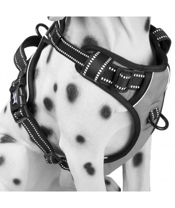PoyPet 3M Reflective -Easy Control- No Pull Dog Harness (Grey)