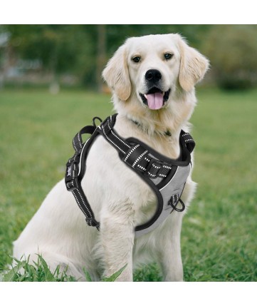 PoyPet 3M Reflective -Easy Control- No Pull Dog Harness (Grey)
