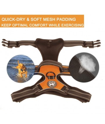 PoyPet 3M Reflective -Easy Control- No Pull Dog Harness ( Orange)