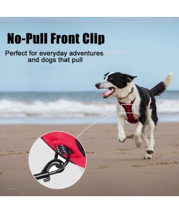 PoyPet 3M Reflective -Easy Control- No Pull Dog Harness (Red)