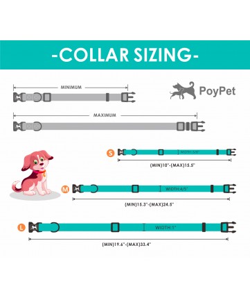 PoyPet  Dog Collar + Bowknot (USA FLag)