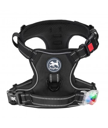 PoyPet LED Flashing Light - No Pull Dog Harness ( Black )