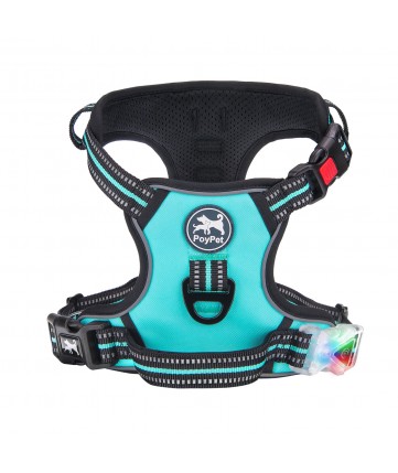 PoyPet LED Flashing Light - No Pull Dog Harness ( Tiffany Blue )