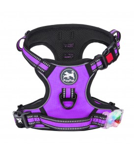 PoyPet LED Flashing Light - No Pull Dog Harness ( Purple )