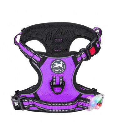 PoyPet LED Flashing Light - No Pull Dog Harness ( Purple )