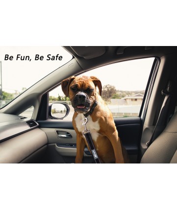PoyPet  3M Reflective 5 Feet Dog Leash with Car Seat Belt (Light Pink)
