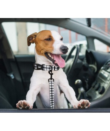 PoyPet 5 Feet Printed Dog Leash with Car Seat Belt (USA Flag)