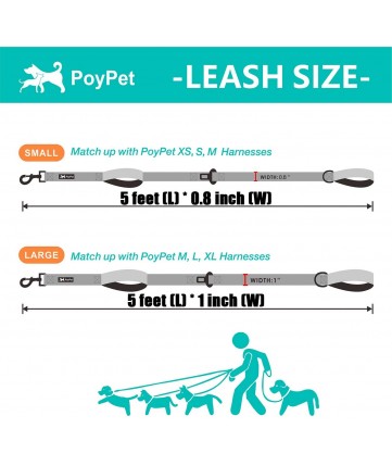PoyPet 5 Feet Printed Dog Leash with Car Seat Belt (Grid)