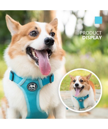 PoyPet Reflective Soft Breathable Mesh Dog Harness (Blue) PoyPet Reflective Soft Breathable Mesh Dog Harness (Blue)