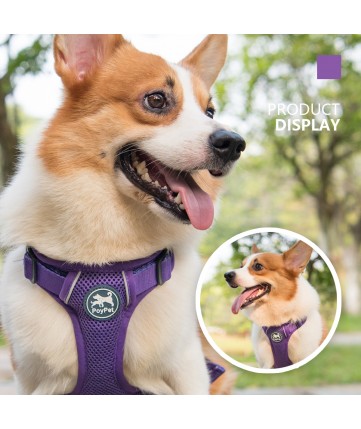 PoyPet  Reflective Soft Breathable Mesh Dog Harness (Purple)