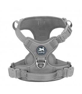 PoyPet No Pull Dog Harness Lockable - 2 Metal Front & Back Leash Hooks (Gary )