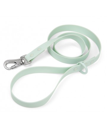 PoyPet Waterproof 4ft Dog Leash(Green)